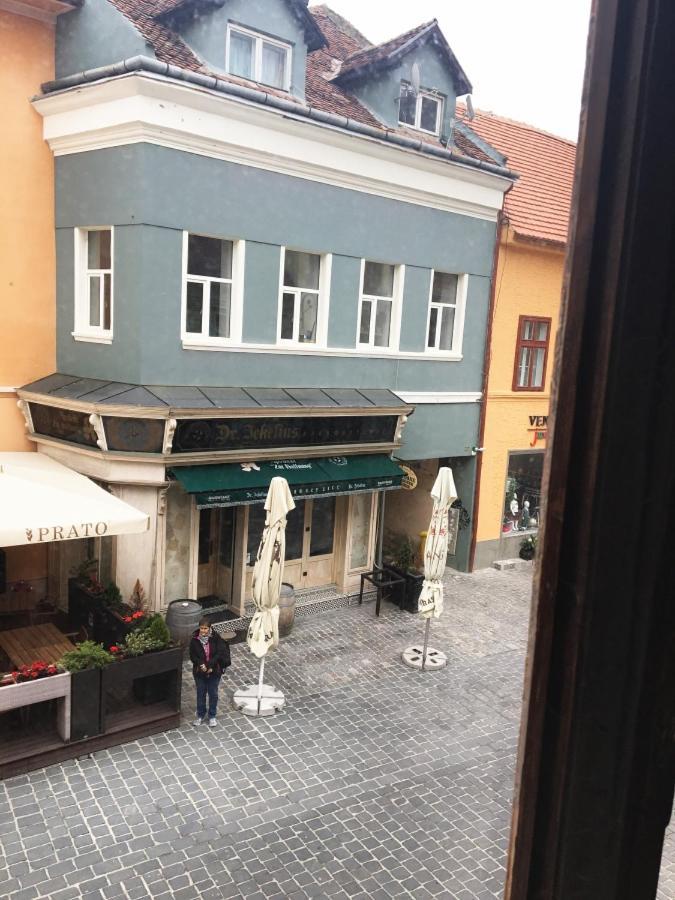 Aristocrat Vintage Apartment Brasov Exterior photo